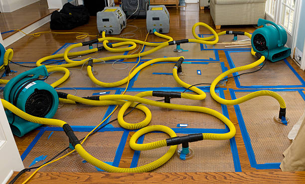 Professional Crawl Space Water Removal technician working in Stumpy Point, NC